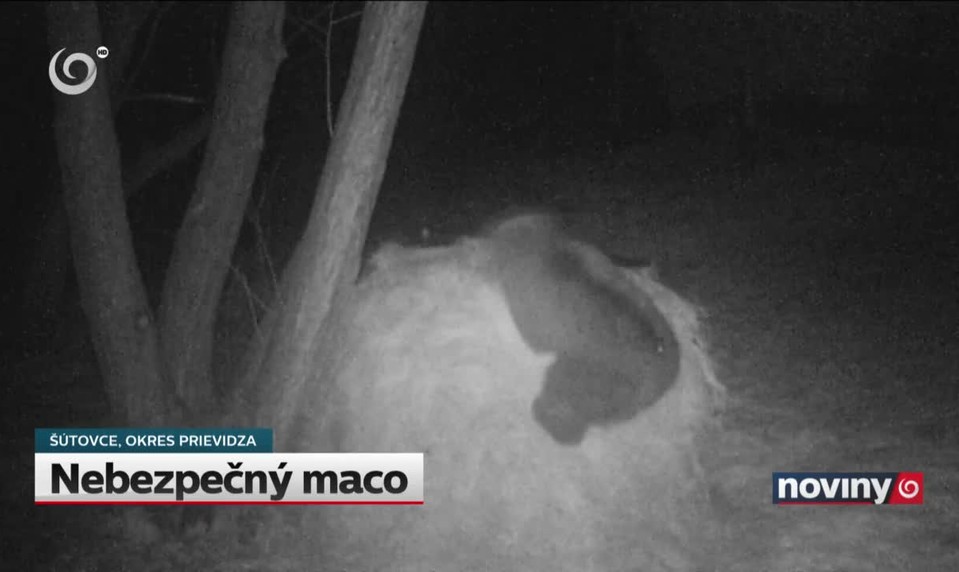 Nebezpečný maco