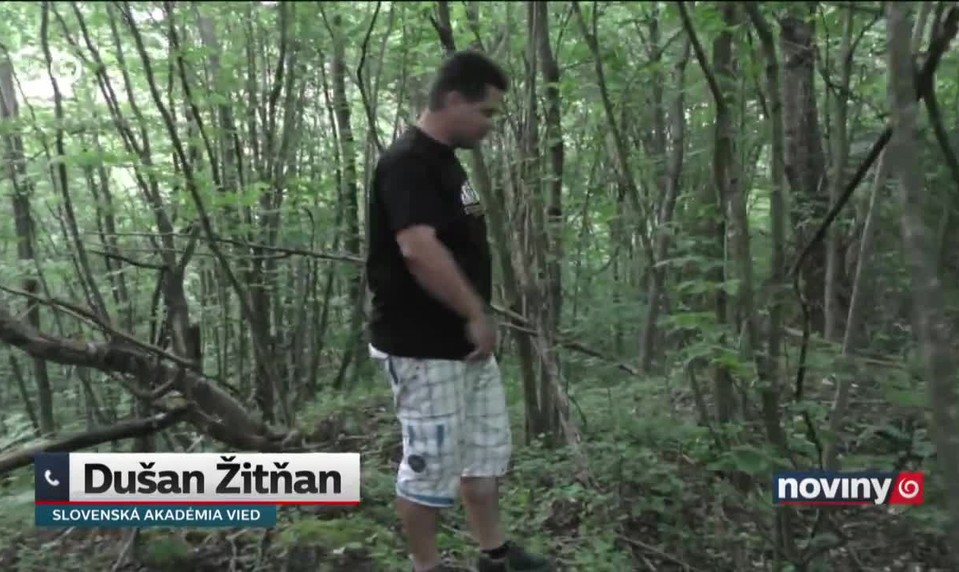 "Čudo" v lese