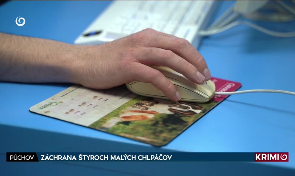 ZÁCHRANA ŠTYROCH MALÝCH CHLPÁČOV