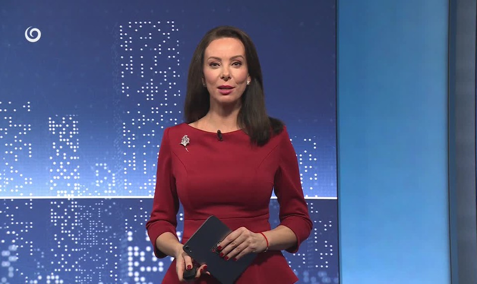 ZÁCHRANA ZRANENÉHO RYSA