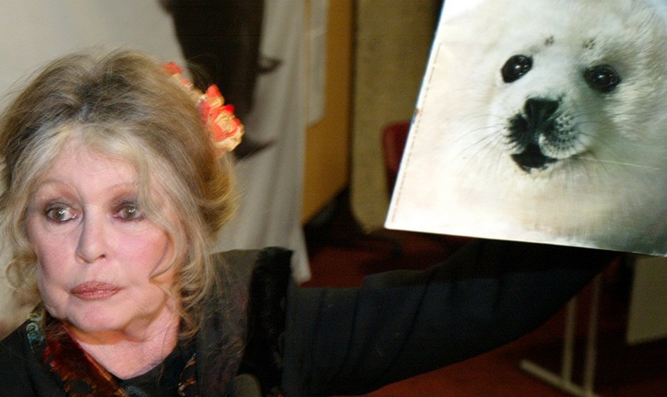 Trpká pravda Bardotkinho života! Milovala zvieratá viac ako vlastného syna, vymenila by ho za psa!