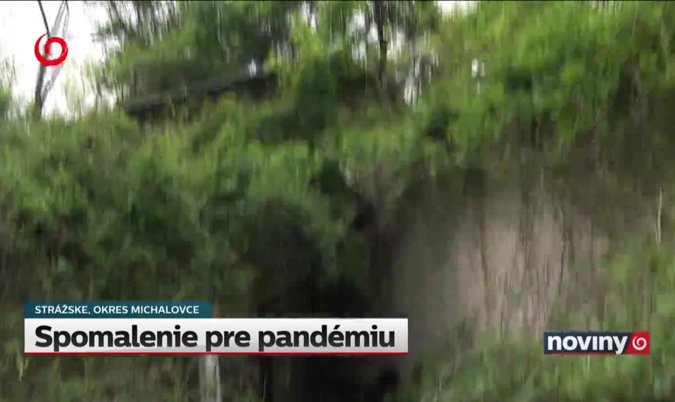 Spomalenie pre pandémiu