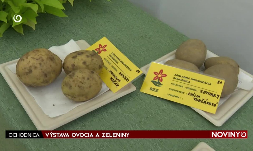 VÝSTAVA OVOCIA A ZELENINY