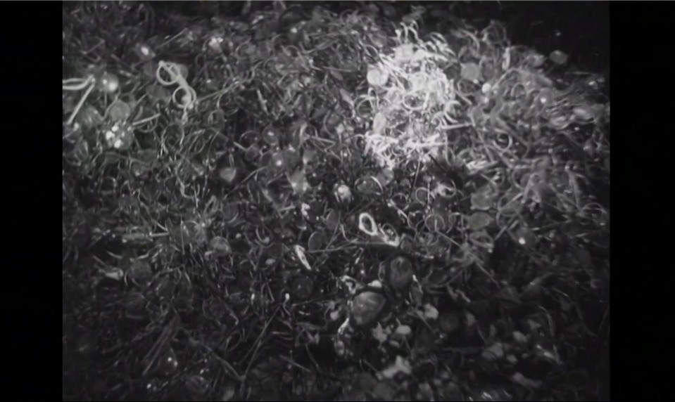 Štúdio 24: Prečo nezabúdať na Holokaust?