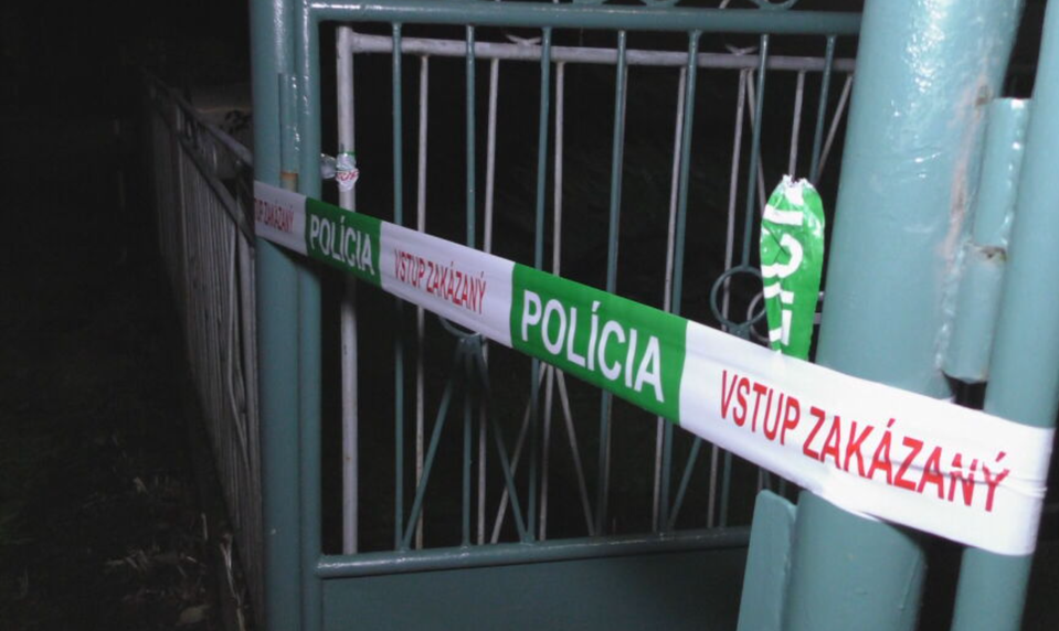 Po hádke bodol starší brat mladšieho nožom do hrudníka. Dostal deväť rokov za mrežami