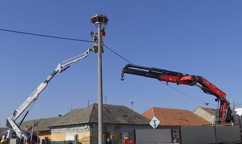 Unikátne hniezdo bocianov preložili na nový stĺp kvôli bezpečnosti