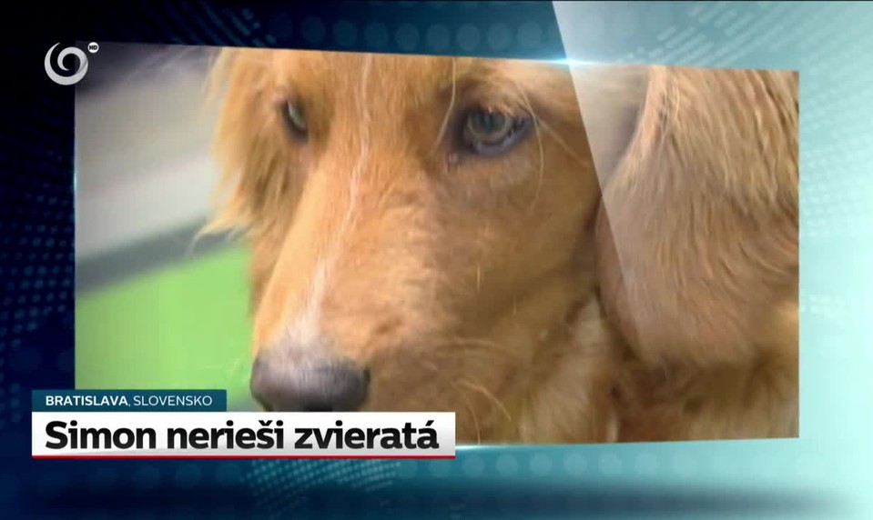 Merkelová v Bielom dome