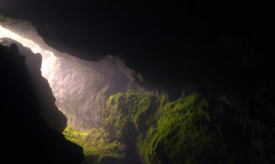 Nelegálna kafiléria? V jaskyni našli uhynuté hospodárske zvieratá