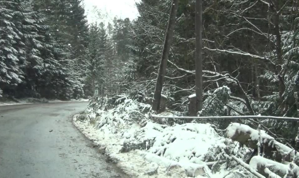 Víchrica na Slovensku strhávala strechy a lámala stromy. Hasiči mali plné ruky práce