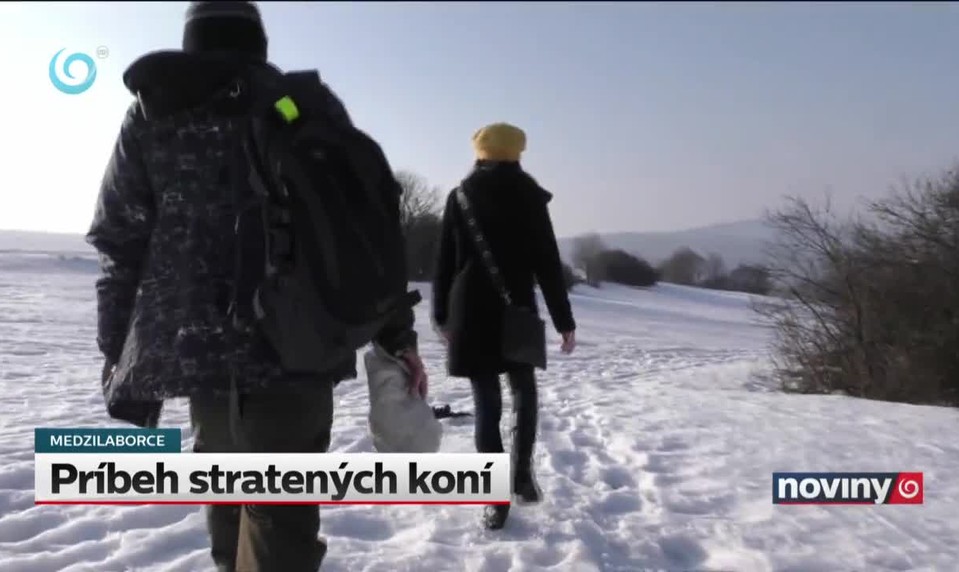 Príbeh stratených koní