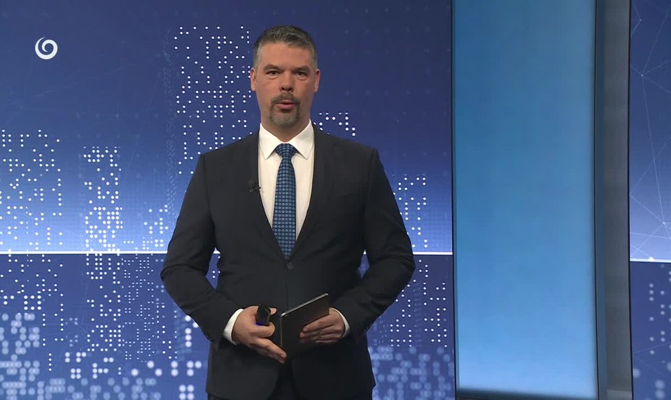 ZRANENÝ PSÍK NAŠIEL NOVÝ DOMOV