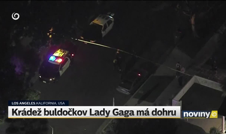 Krádež buldočkov Lady Gaga má dohru