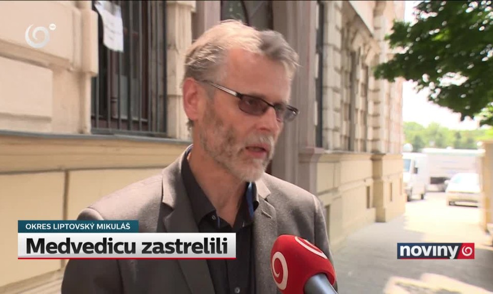 Medvedicu zastrelili