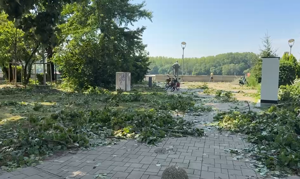 Topole, ktoré mohli zabíjať. Na bratislavskom nábreží pripomenul vietor problém, ktorý sa dlhé roky odkladá