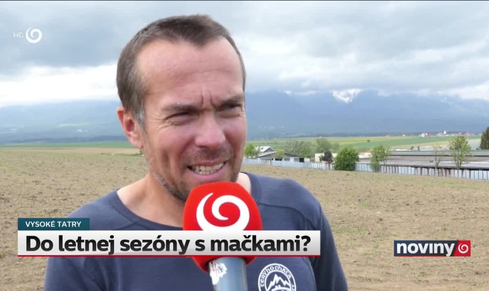 Do letnej sezóny s mačkami?