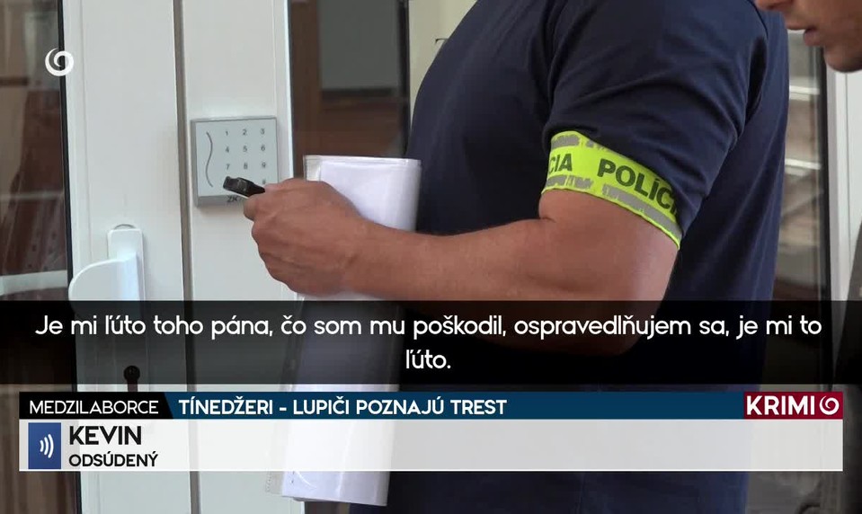TÍNEDŽERI - LUPIČI POZNAJÚ TREST