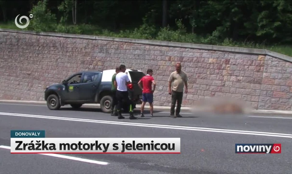Zrážka motorky s jelenicou