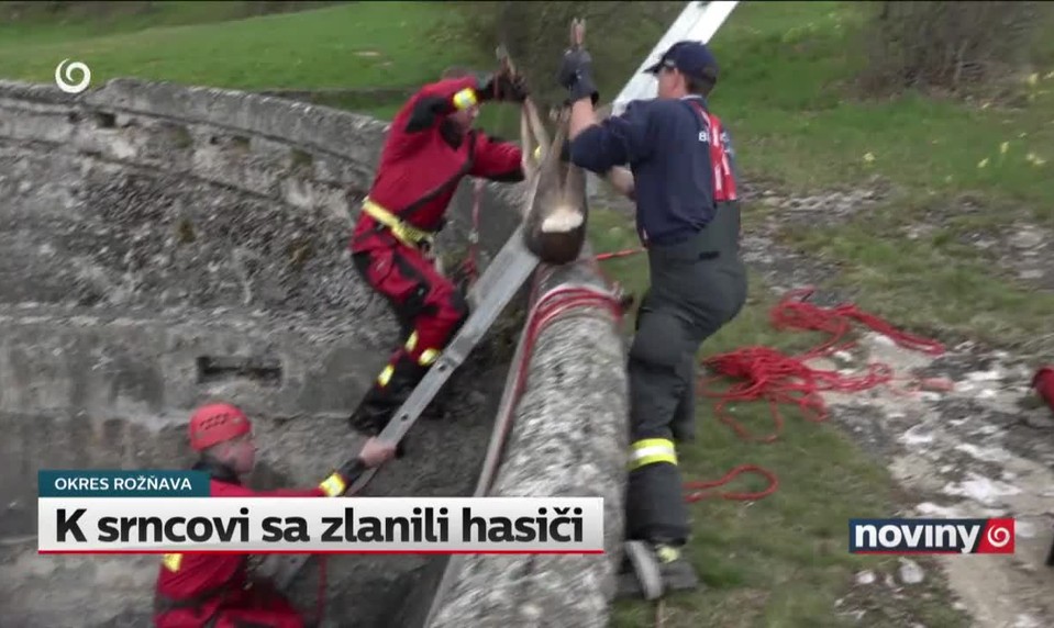 K srncovi sa zlanili hasiči