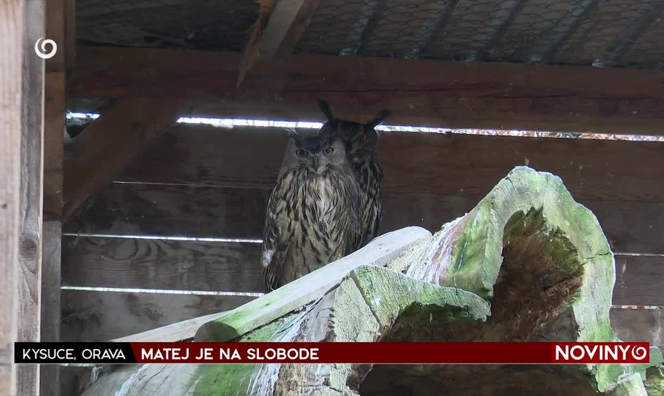 MATEJ JE NA SLOBODE