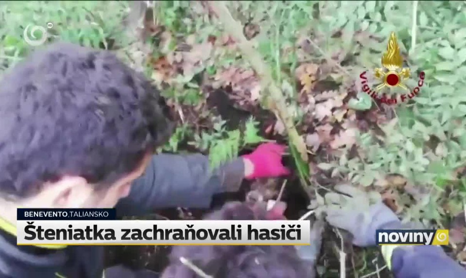 Šteniatka zachraňovali hasiči