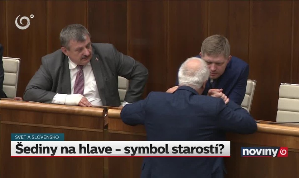 Šediny na hlave - symbol starostí?