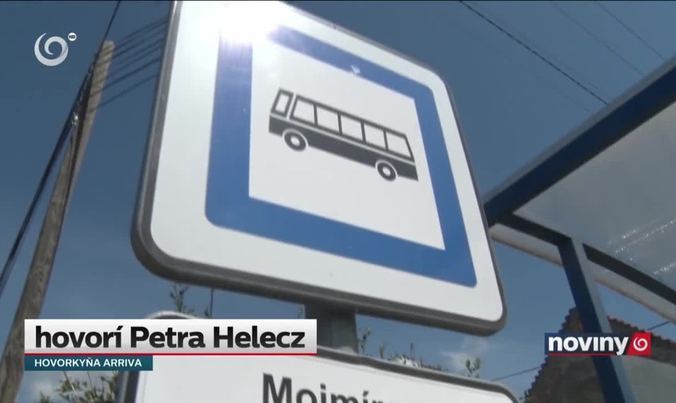 Miška zrazil autobus