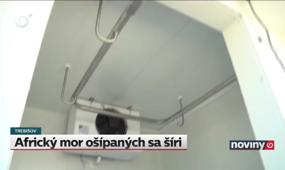 Africký mor ošípaných sa šíri