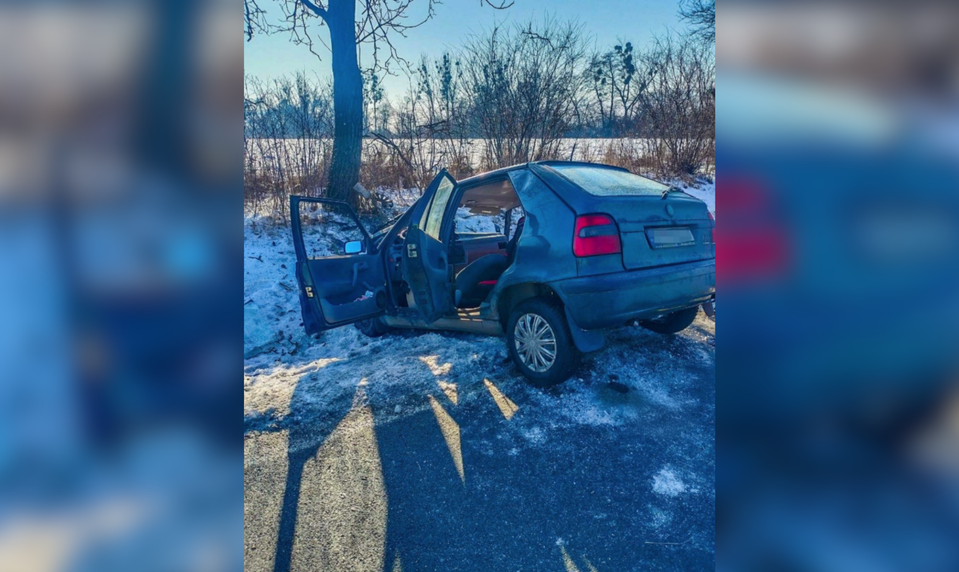 Dopravná nehoda s tragickým koncom: Senior zišiel z cesty a narazil do stromu