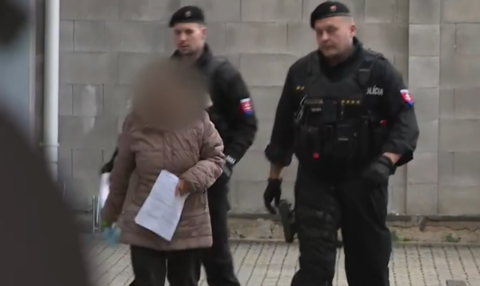 Žena v amoku dobodala svojho druha do krku. "Teraz buď geroj", povedala mu žena podľa uznesenia