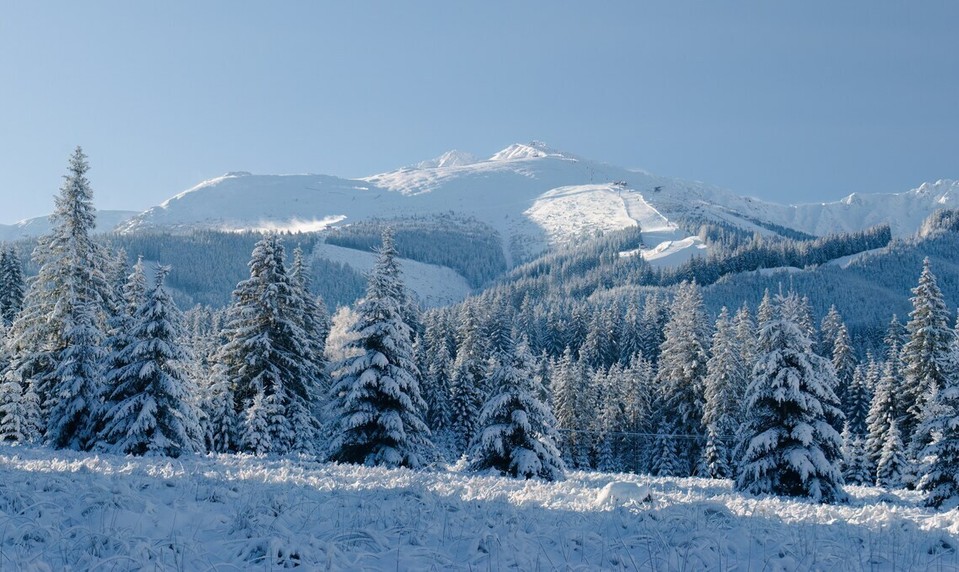 Na Slovensku zachytili kráľa Tatier: A ten pohľad!