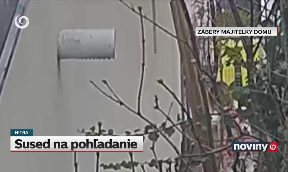 Sused na pohľadanie