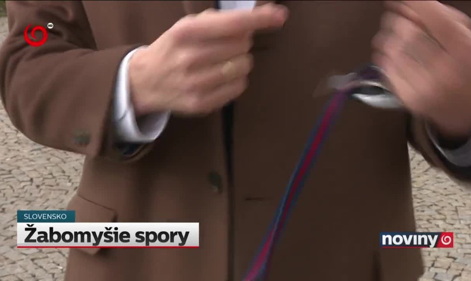 Žabomyšie spory