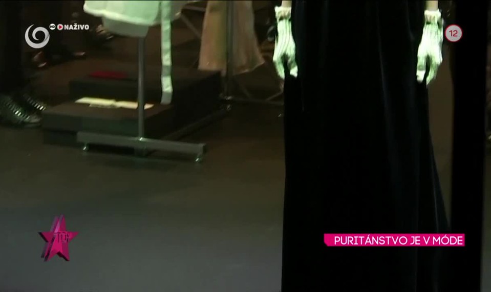 PURITÁNSTVO JE V MÓDE