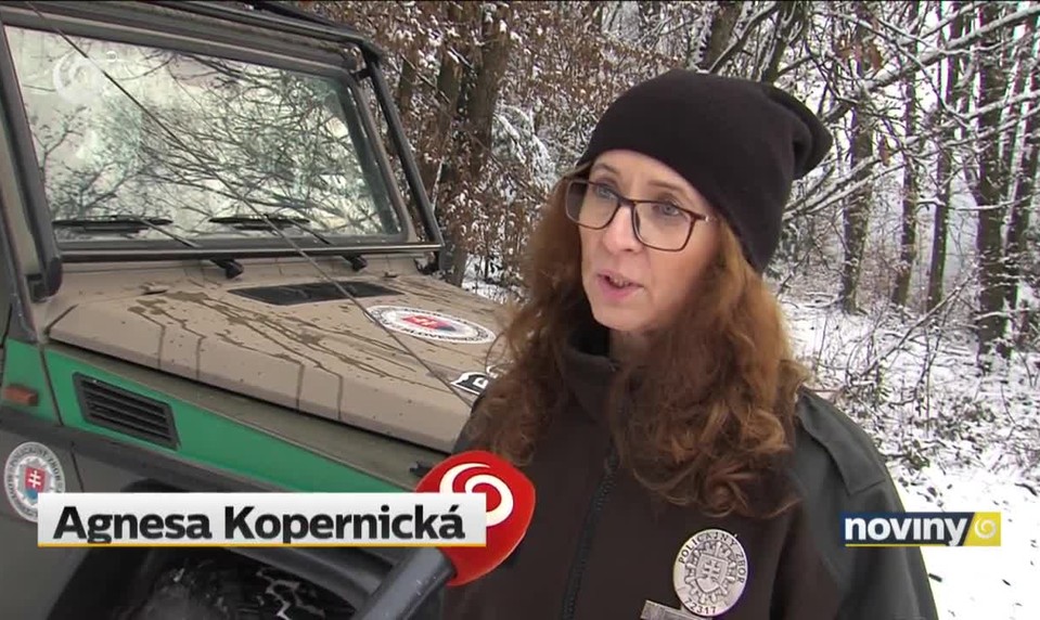 Bizarný súd s prevádzačom