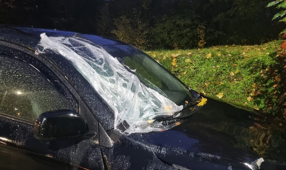 Na trase do Žiliny našli v priekope mŕtve telo. Polícia obvinila vodiča