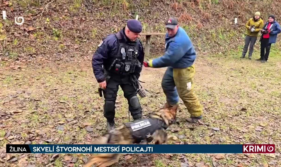 SKVELÍ ŠTVORNOHÍ MESTSKÍ POLICAJTI