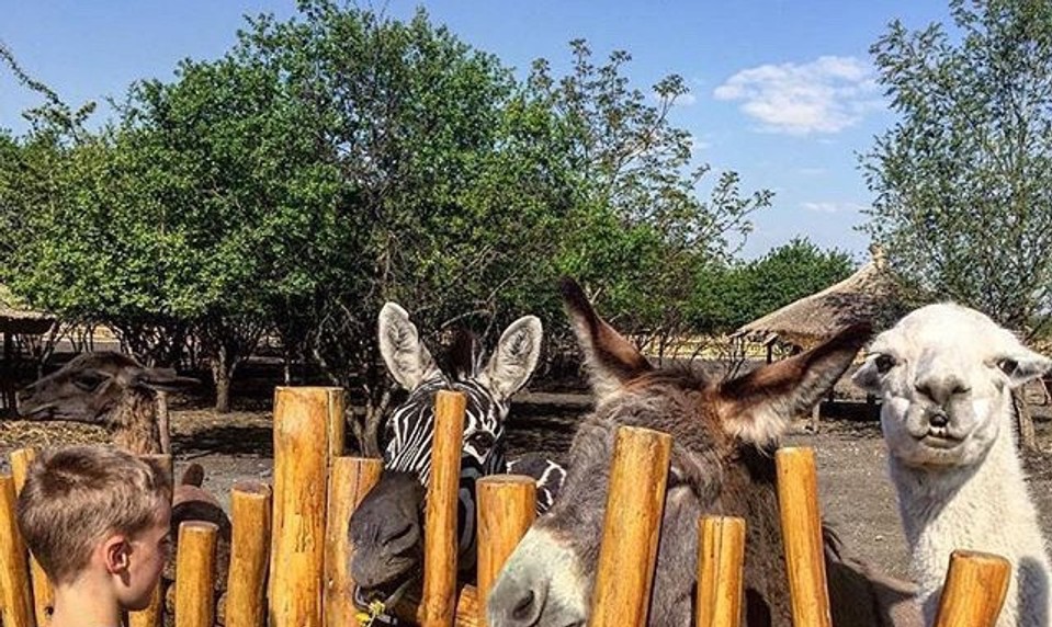 SERIÁl: Na cestách s Lajkitom. Tipy na výlet v Trnavskom kraji