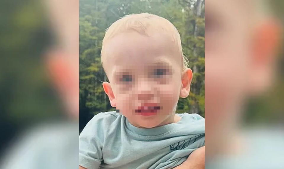 Na tiesňovú linku prišiel záhadný hovor. V dome potom našli mŕtve batoľa aj jeho starých rodičov