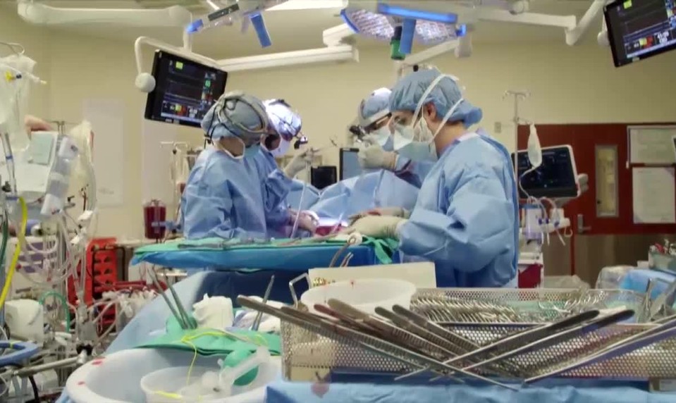 Českí lekári predstavili novú liečbu pľúcnej embólie: Zrazeninu rozpustia priamo v pľúcach