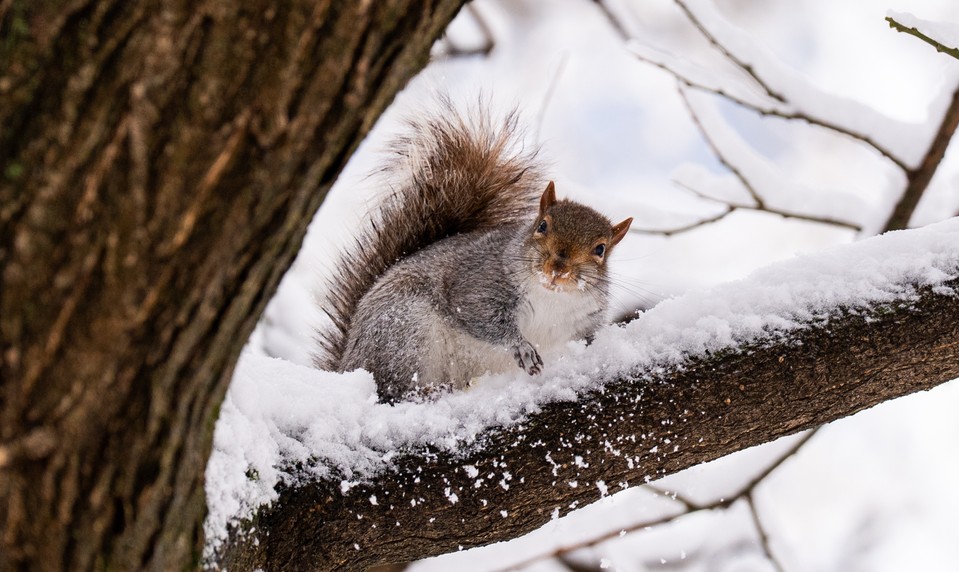 Po suchu a hmle je tu zmena. V týchto oblastiach uvidíte prvé snehové vločky