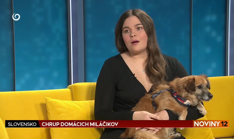 Rozhovor chrup domáceho miláčika