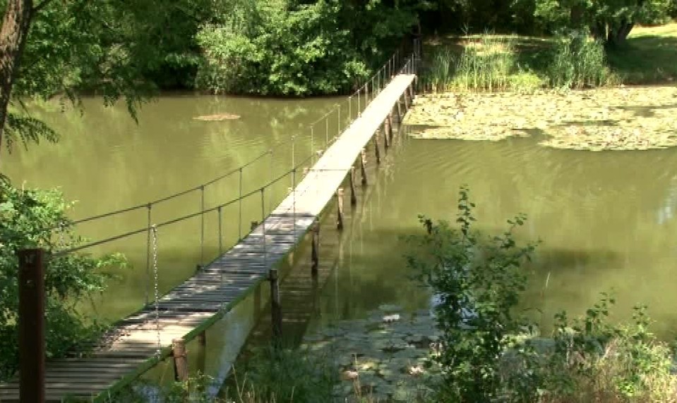 Rybárov vyrušovali kúpajúci sa, skončilo sa sa to bitkou