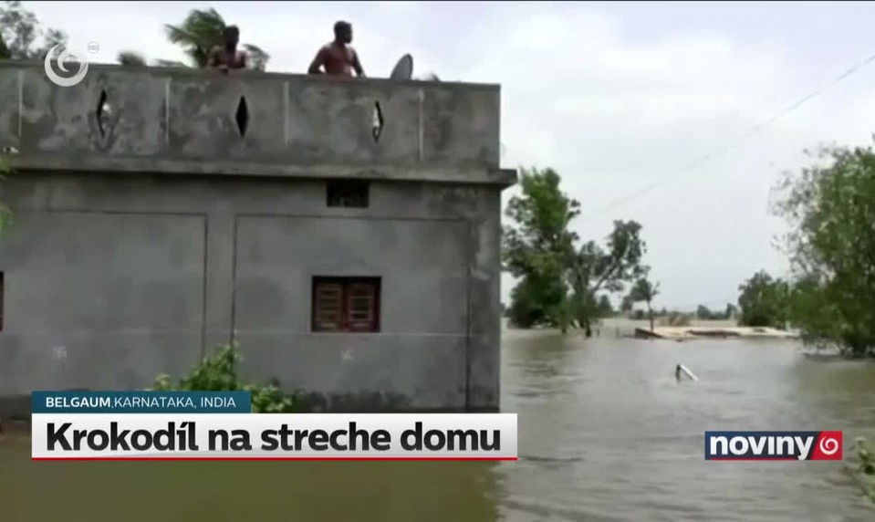 Krokodíl na streche domu