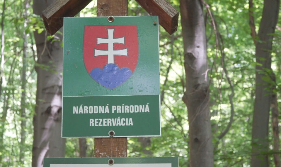 Lesníčky cestovali stovky kilometrov za našimi unikátnymi lesmi. Ich cieľom boli Poloniny