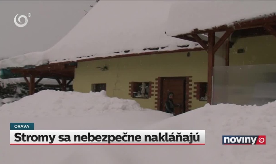 Stromy sa nebezpečne nakláňajú