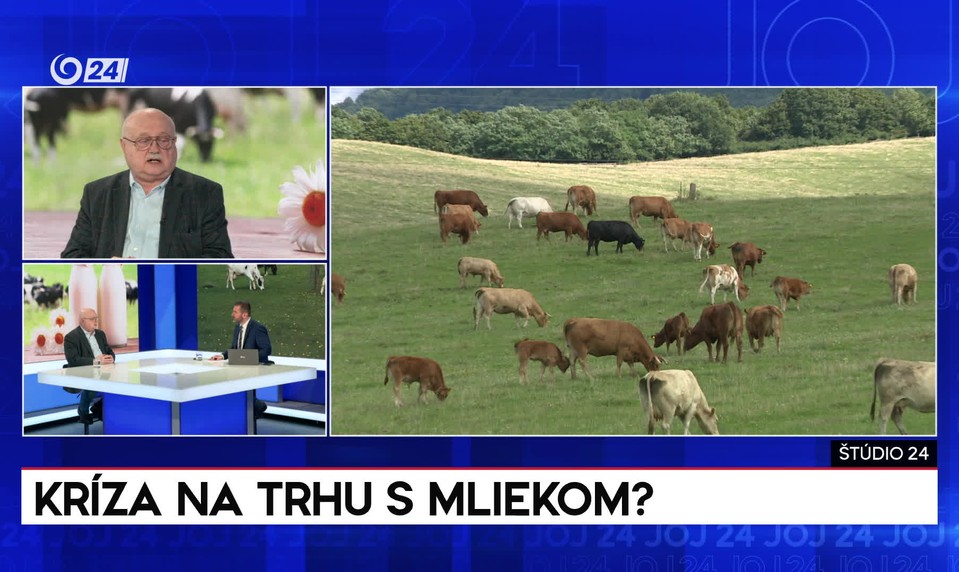 Štúdio 24: Kríza na trhu s mliekom?