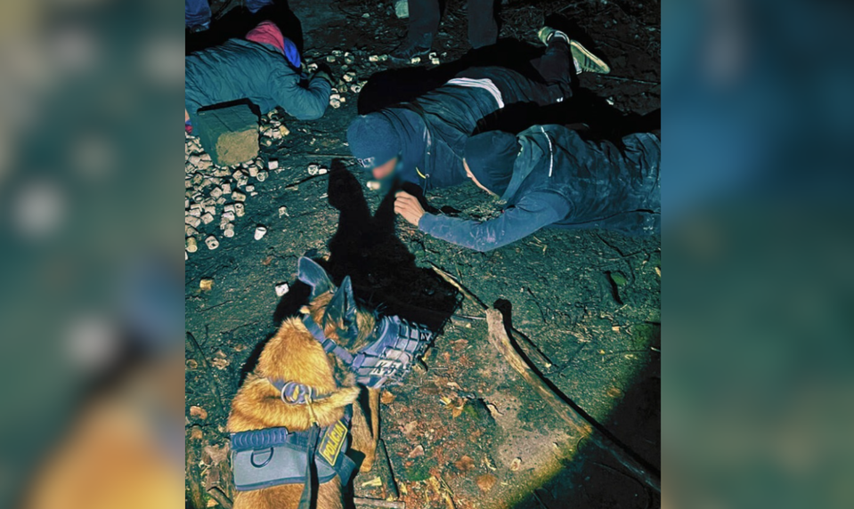 Pri chytení trojice zlodejov v Dubovej asistoval aj policajný pes Max