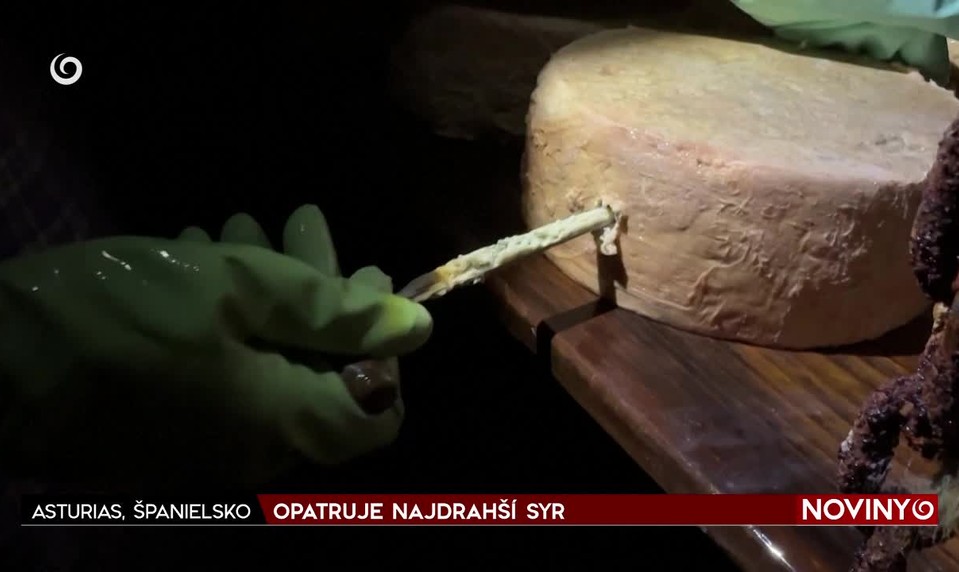 OPATRUJE NAJDRAHŠÍ SYR