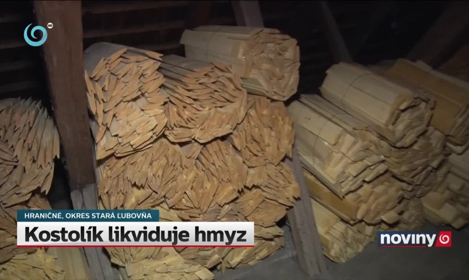 Kostolík likviduje hmyz