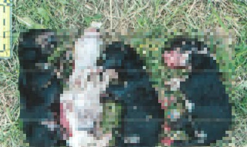 Šteniatka mala vložiť do tašky, potom do nej udierať kusom podlahy. Žena čelí obvineniu
